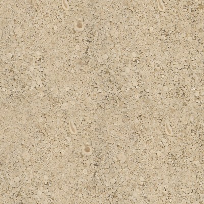 Limestone Crema Nova