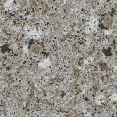 Silestone® Forest Snow